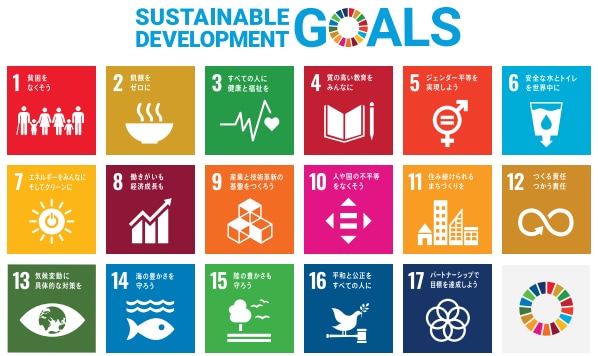 持続可能な開発目標（SDGs）と日本の取組