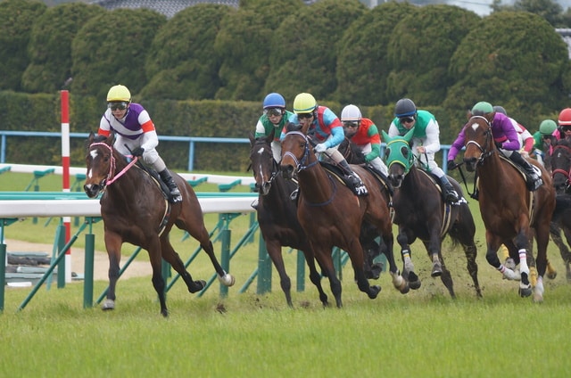 競馬の利益には税金がかかる？確定申告が必要な金額や計算方法を解説